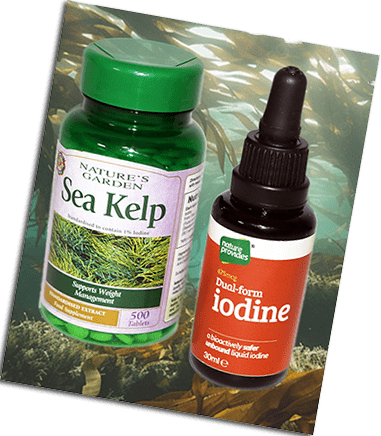 Kelp2 Be a better you with sea kelp