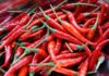 Benefits of Cayenne PepperDiscover Its Great Hidden Secrets. benefits of cayenne pepper